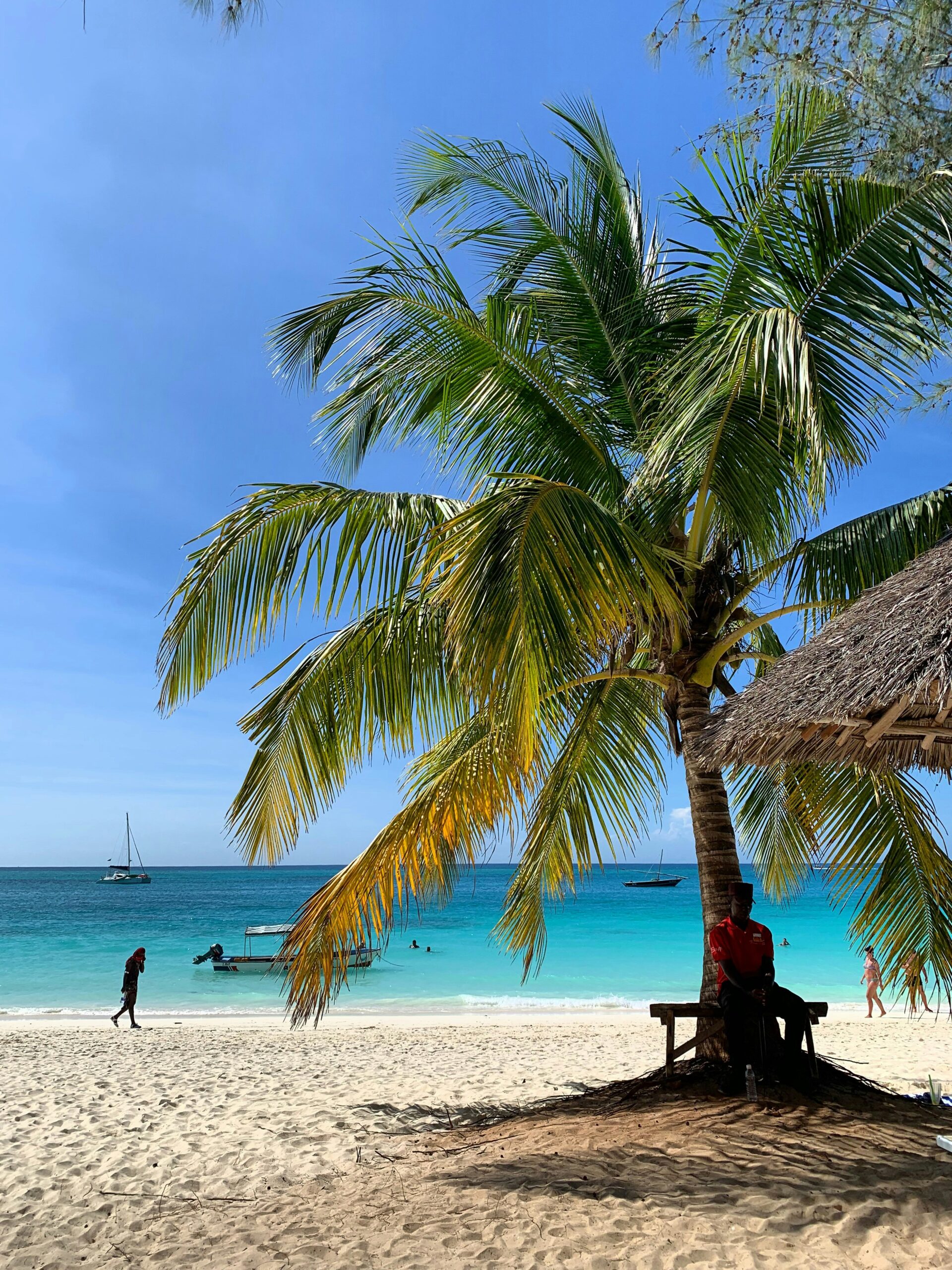 Luxury Real Estate Zanzibar